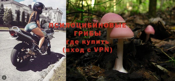 СК Абдулино
